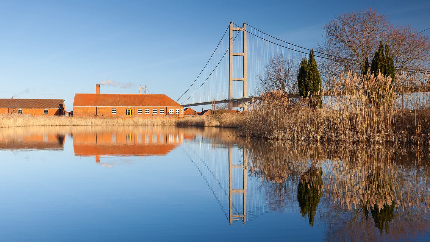 Final 50% payment for Tom