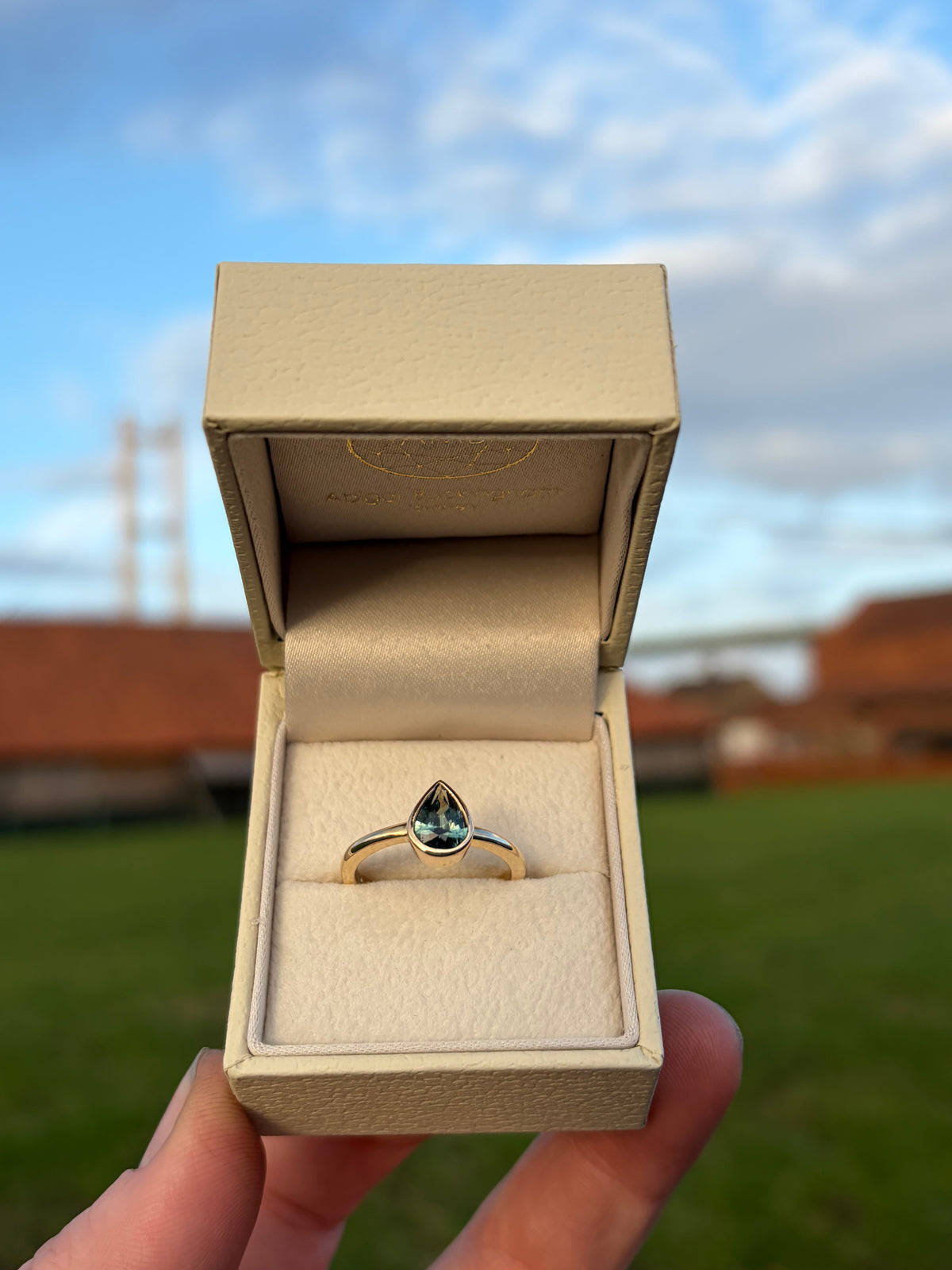 9ct Madagascan Parti Sapphire solitaire